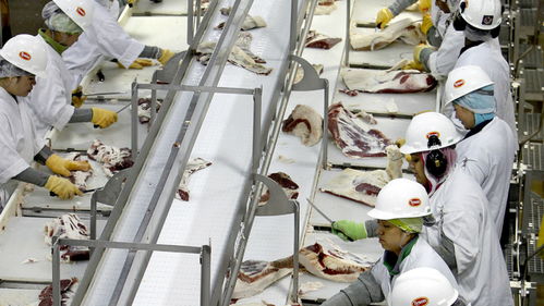 美國肉類工廠疫情危機 570人集體感染新冠，疫情期間被迫開工的背后