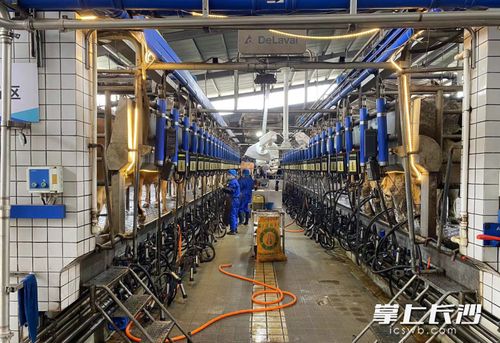 數(shù)字技術(shù)成農(nóng)業(yè)生產(chǎn)“新農(nóng)具” 智能設(shè)備助推長沙農(nóng)業(yè)產(chǎn)業(yè)提質(zhì)升級與溫泉設(shè)備技術(shù)研發(fā)新動向